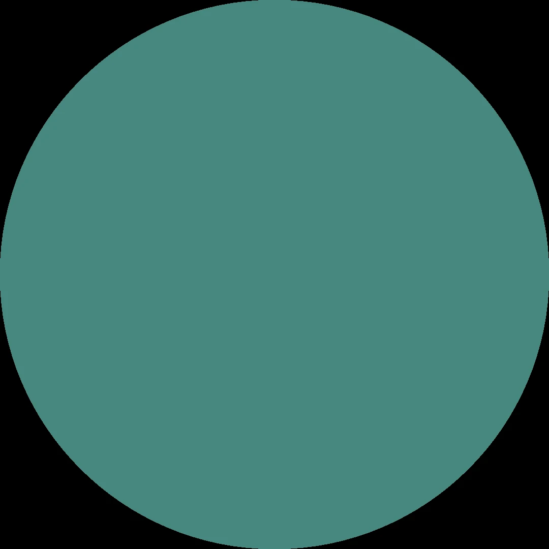 Turquoise Mint