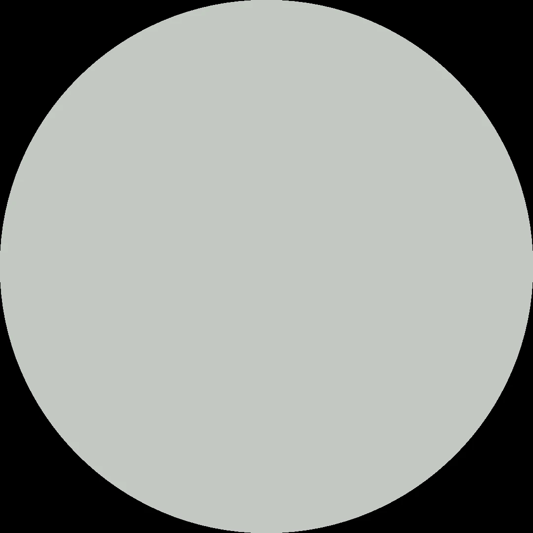 White F Matt
